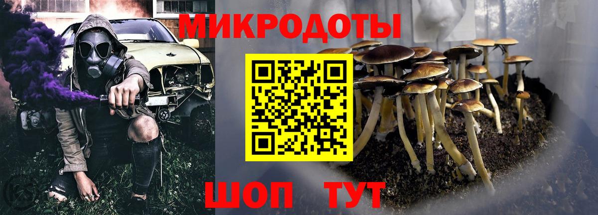 Галлюциногенные грибы MAGIC MUSHROOMS Камышин