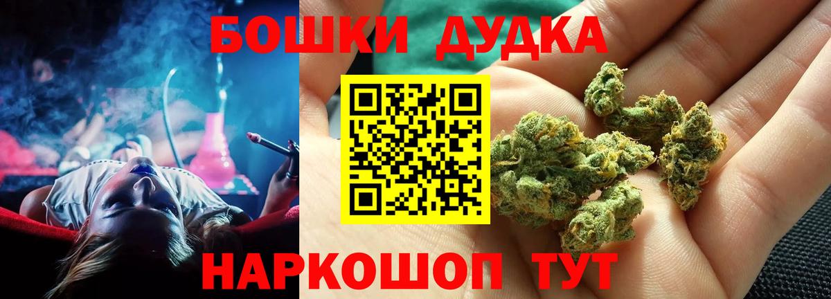 Каннабис OG Kush Камышин